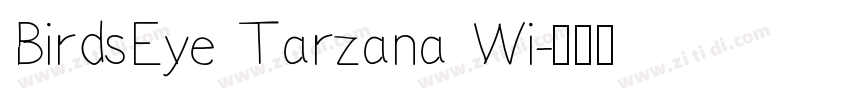 BirdsEye Tarzana Wi字体转换